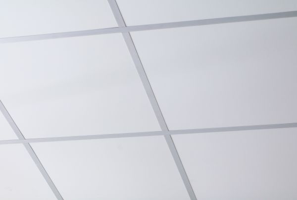 Ceiling Panel Replacement